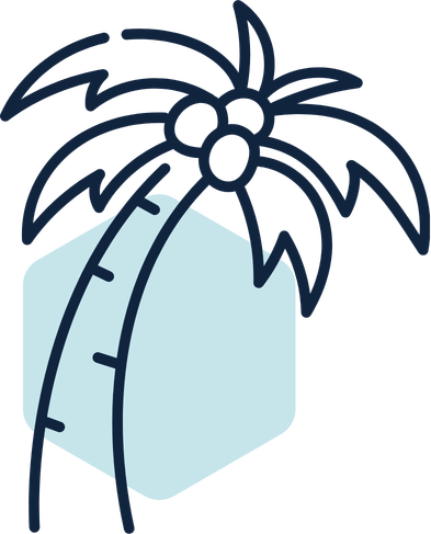 Icono que representa una palmera de coco